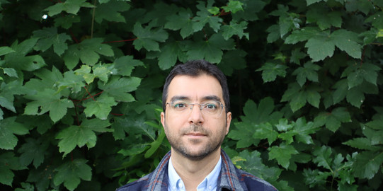 Abolfazl Salmanibideskan - Profibild