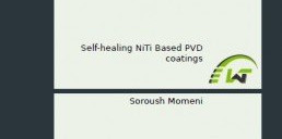 Buchumschlag der Dissertation